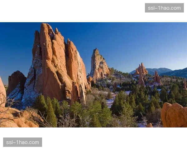 墨西哥高原训练基地需求激增 科罗拉多斯普林斯成适应训练热门地
